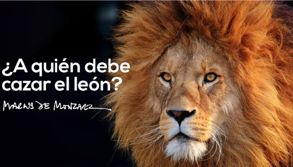 a quién debe cazar el león